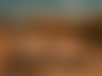 Luxury African Safari: What to Expect on Your First Unforgettable Journey