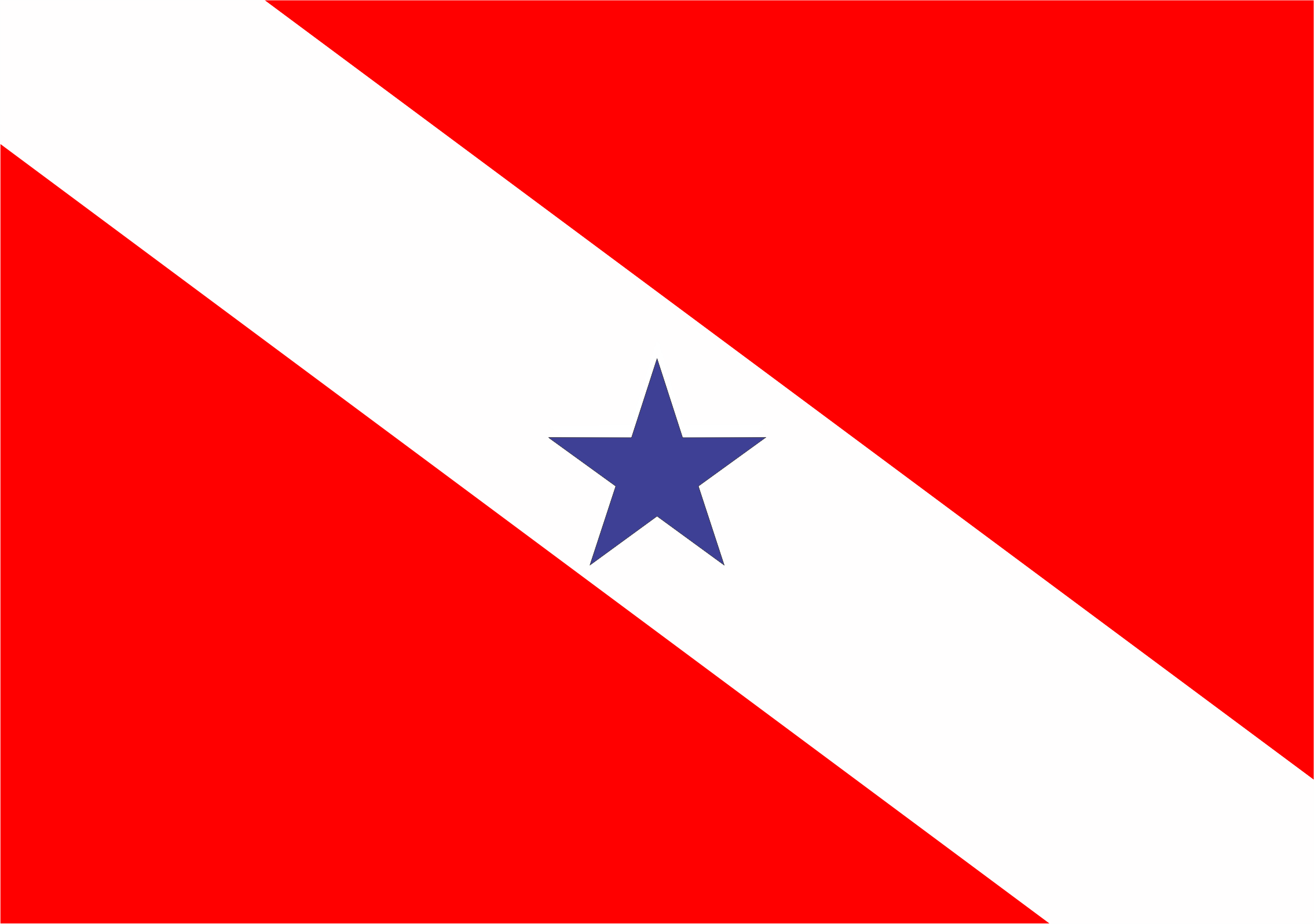 BANDEIRA PARÁ 3,0 PANOS ESTAMPA DIGITAL EM OXFORD  1,93M X 1,35M