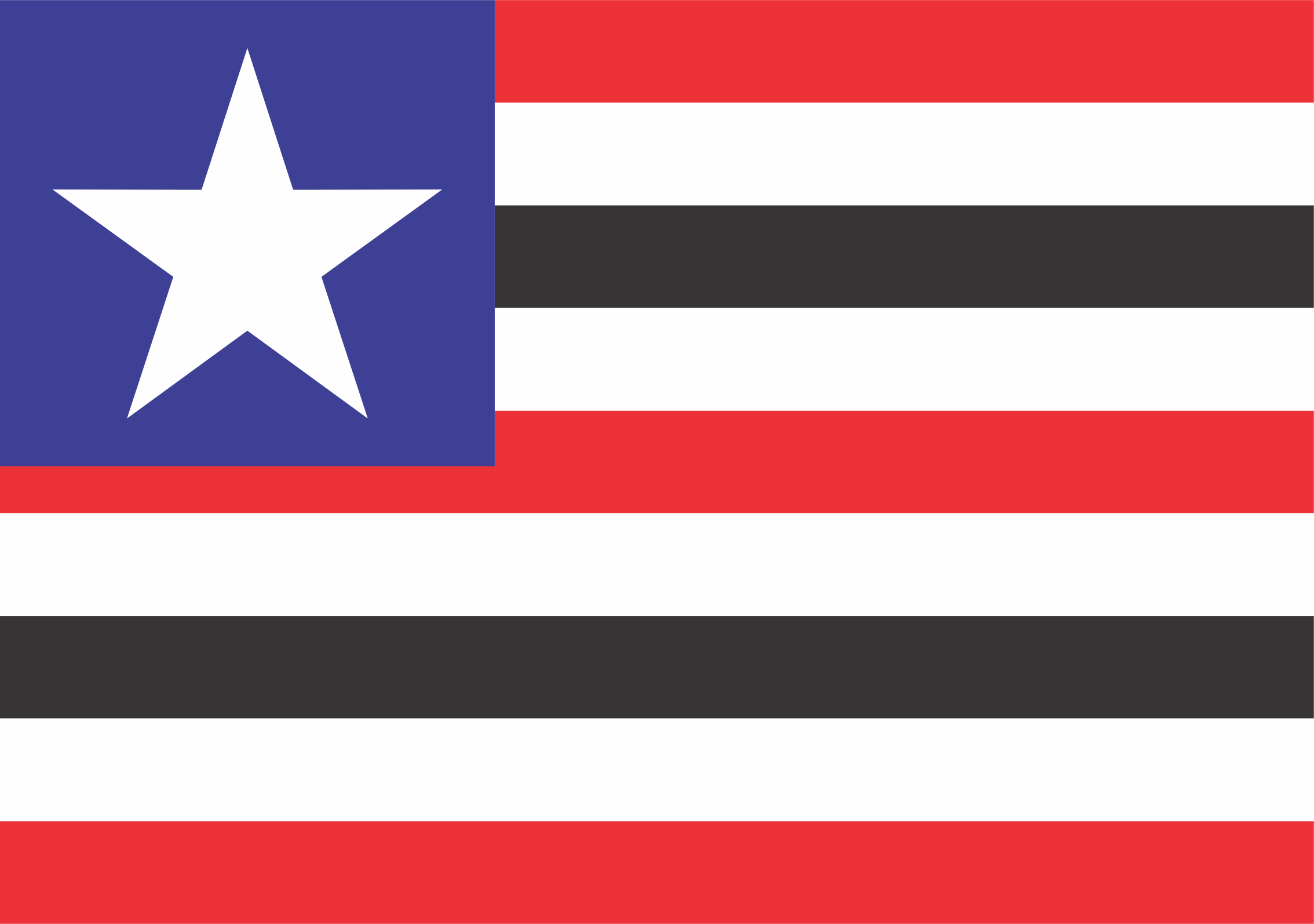 BANDEIRA MARANHÃO 1,0 PANO ESTAMPA DIGITAL EM OXFORD  0,64M X 0,45M