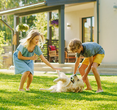 family playing with a dog in the garden without mosquitos or tick
