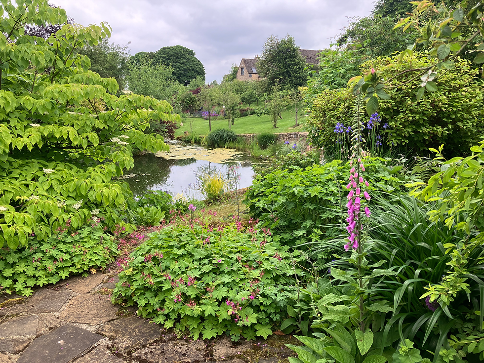 Garden Visit to a private garden in Snowshill - booking essential