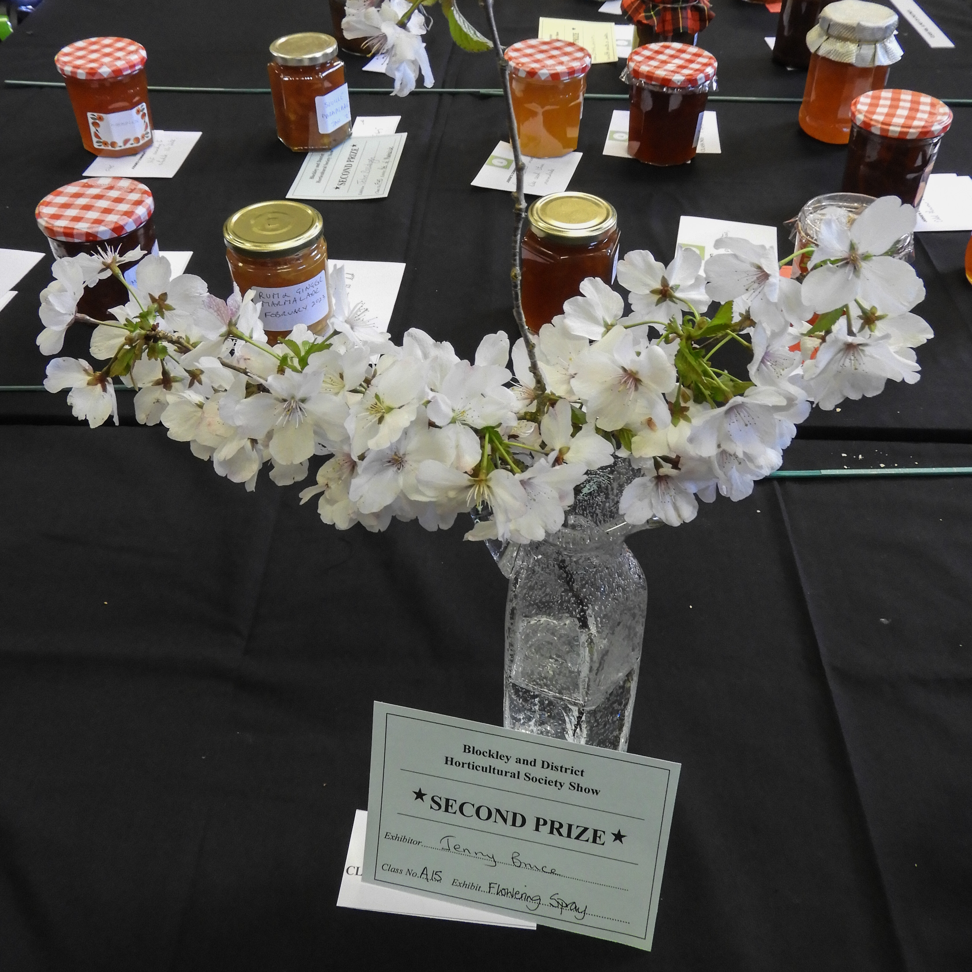 Blockley Spring Flower Show 2026 | Blockley Hort Soc