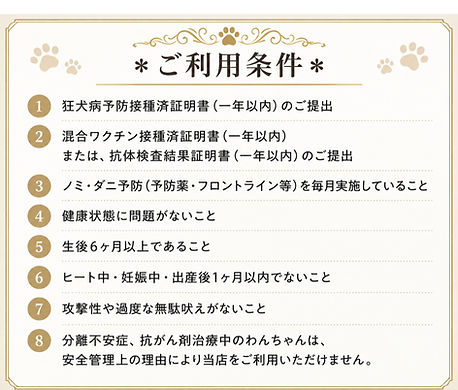 大宮でおすすめの24時間スタッフ常駐ペットホテル
