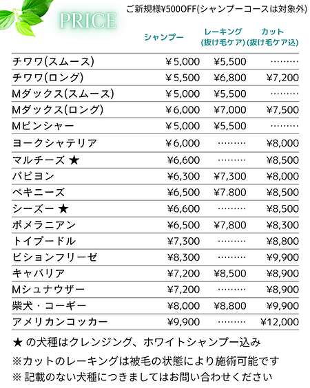 大宮の安いトリミングサロンの料金表 トイプードル¥8,000