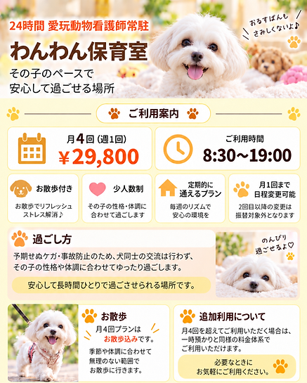 大宮駅の犬の保育園 cherie mumu 安心して過ごせる犬の保育園