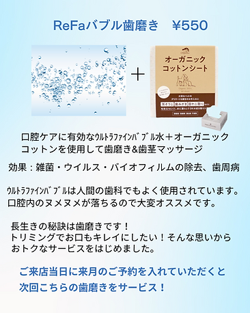 大宮　トリミング　安い