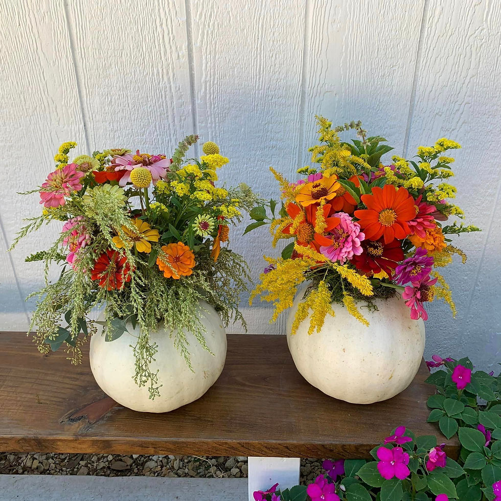 Pumpkin Floral Design Workshop