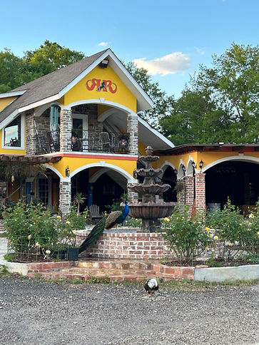 peacock at fountain at La Hacienda Venue outdoor estate Pass Christian Mississippi