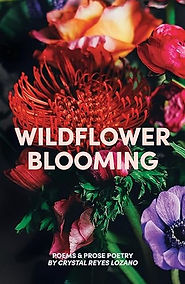 wildflower_blooming.jpg