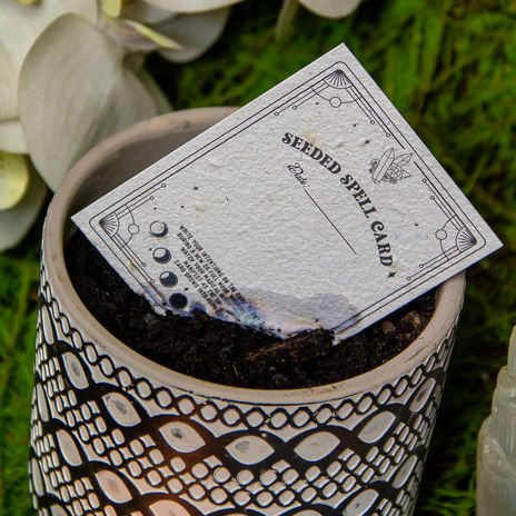 SEEDED SPELL CARD-7.jpg