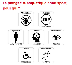 Infographie : types de handicaps pour la plongée subaquatique.