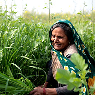 Woman in a Field