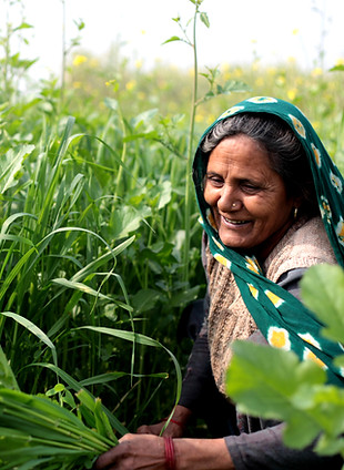 Woman in a Field