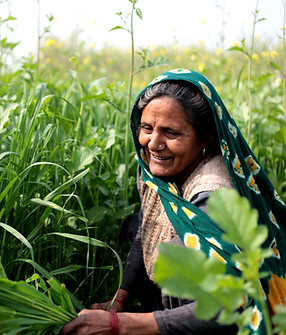 Mujer en un campo