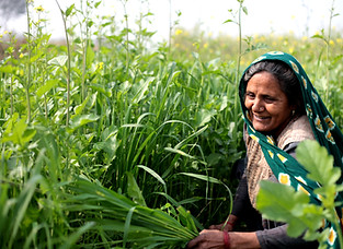 Mujer en un campo