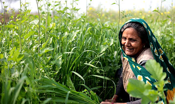 Woman in a Field