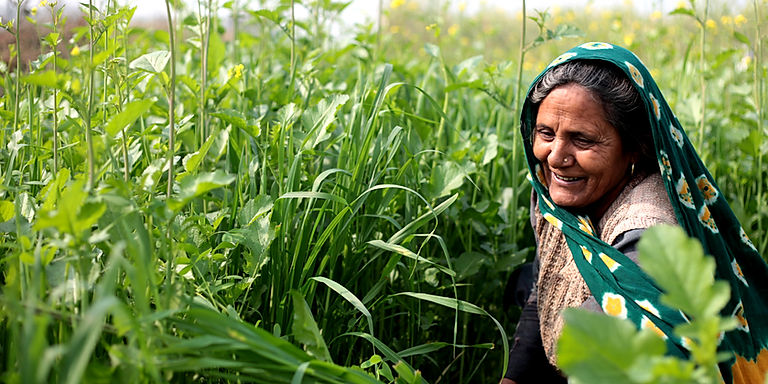 5 Funding Opportunities Agrifood Innovators Should Not Miss This September