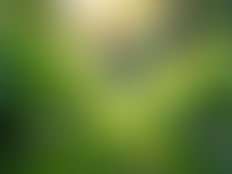 Sustainable Living: Daily Rituals for Lasting Balance