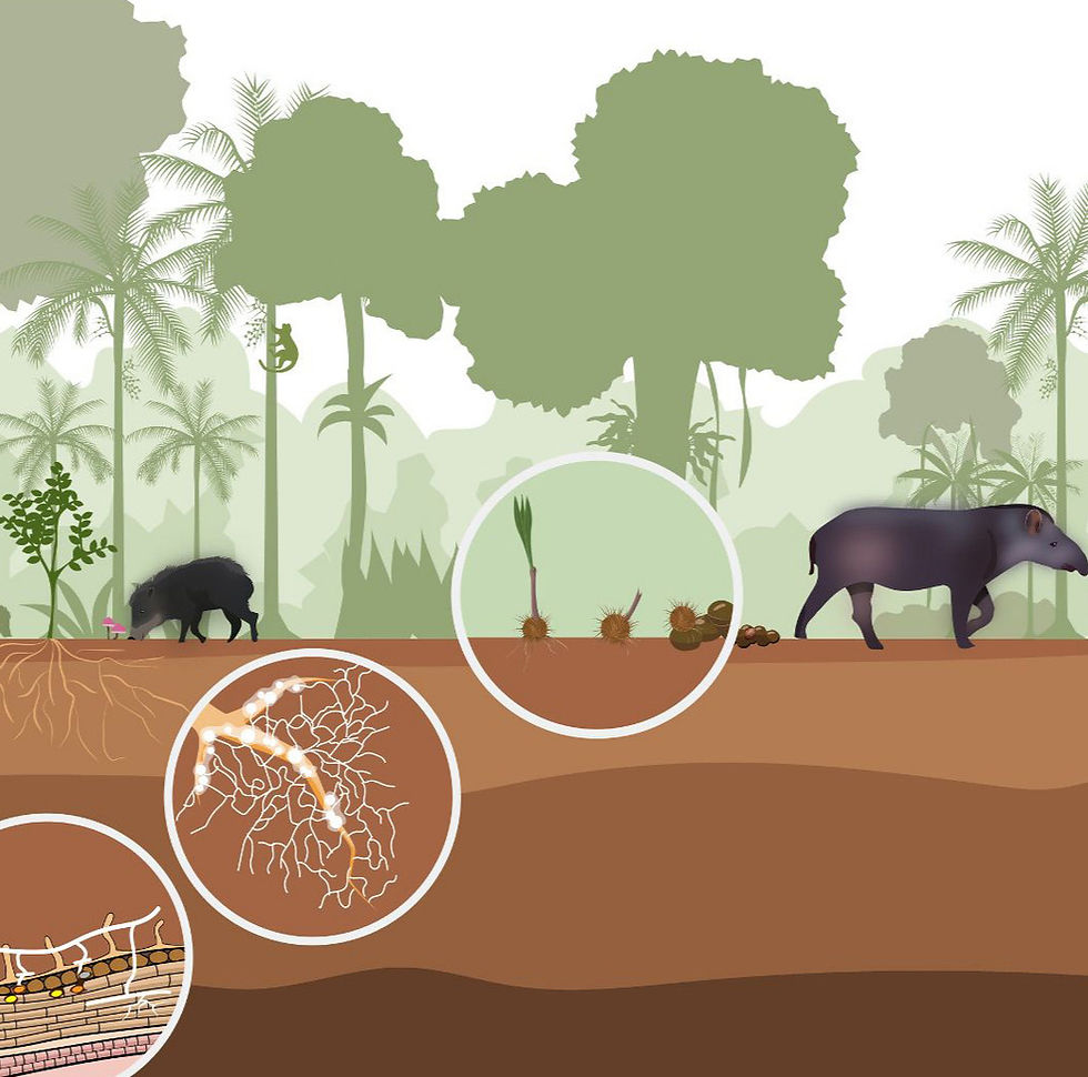 Ecosystem services