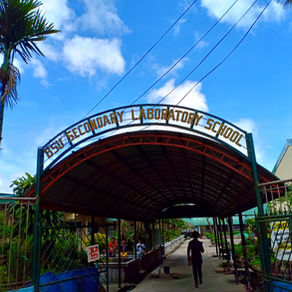 PEDAGOGICAL CONTENTS