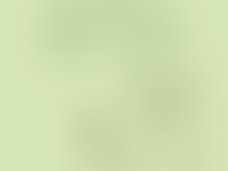 Wat doet een literair agent?