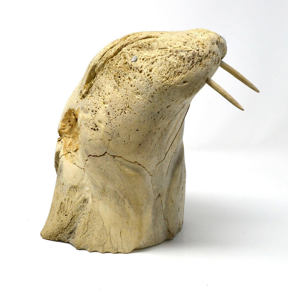 Thumbnail: Whalebone