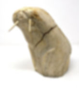 Whalebone