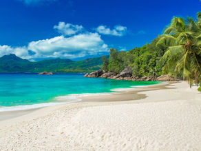 Freedom in connection