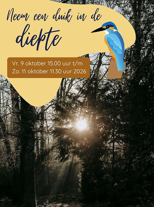 Neem een duik in de diepte met de IJsvogel (2).jpg