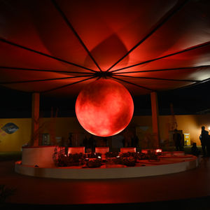 Nurture Nature Exhibition- 2023