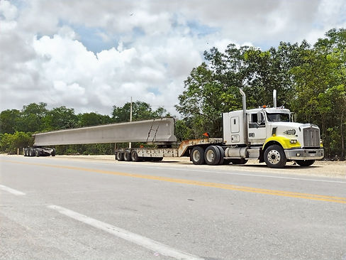 Imagen de WhatsApp 2024-07-27 a las 20_edited_edited.jpg