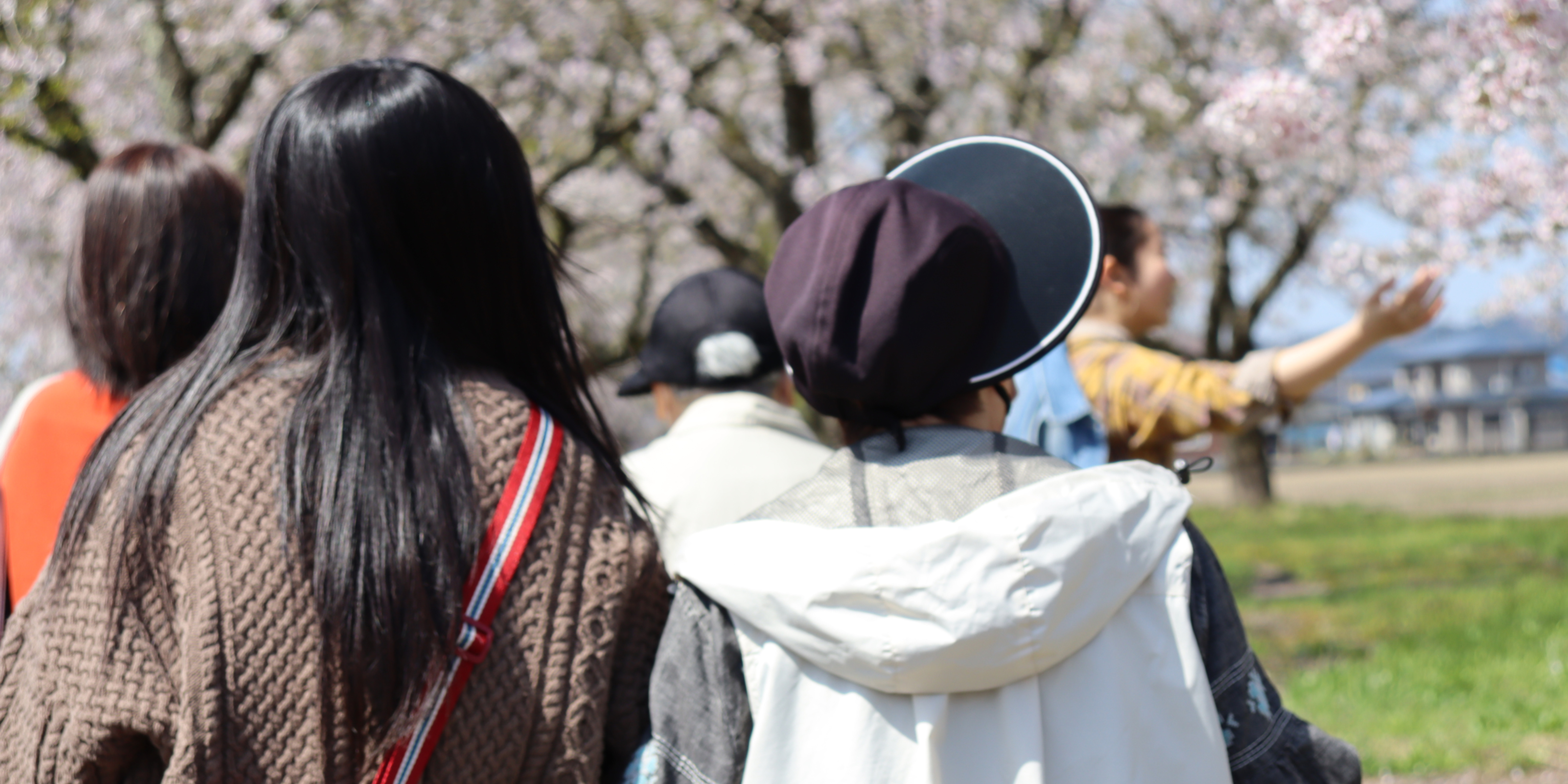 桜が咲く公園で、後ろ姿の子どもたちがガイドの説明を聞き、春の景色を見上げている。