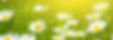 dreamstime_l_72961826_edited.jpg