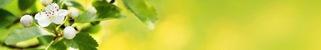 dreamstime_l_24752960 (2)_edited_edited_edited_edited_edited.jpg