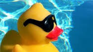 www.rubberduckypoolsupplies.com