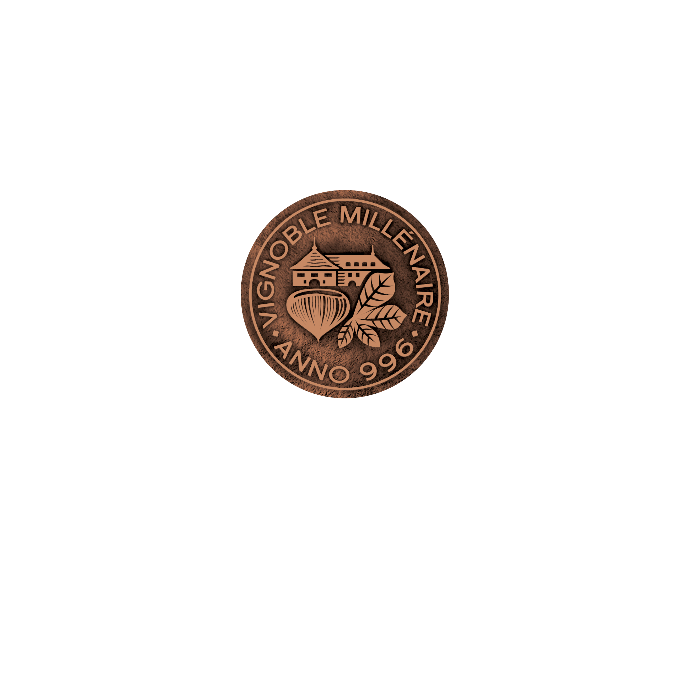Château de châtegneréaz