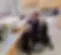a9703e048e2d71d59e112f7e99b13028.webp