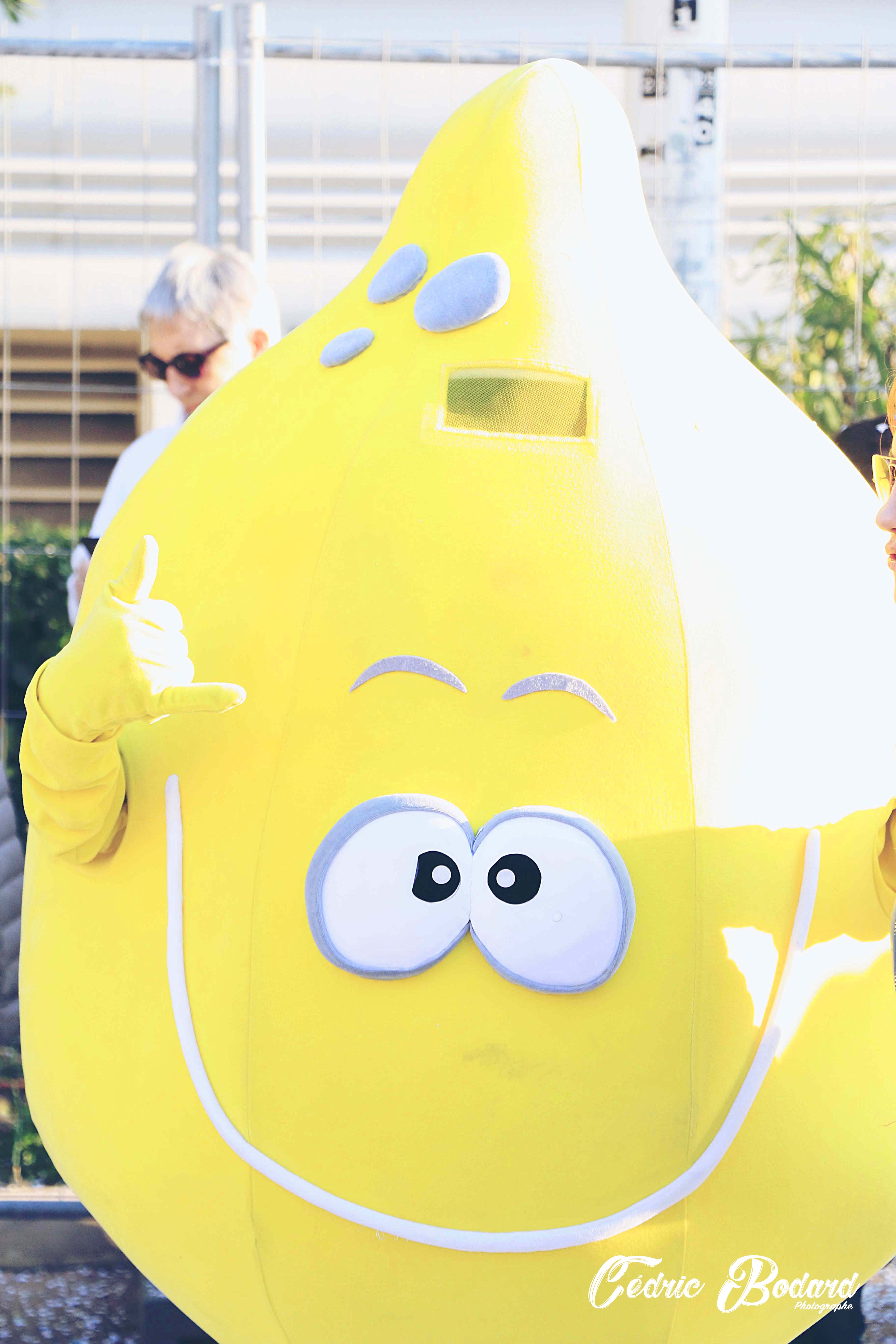 Fête du Citron // Menton