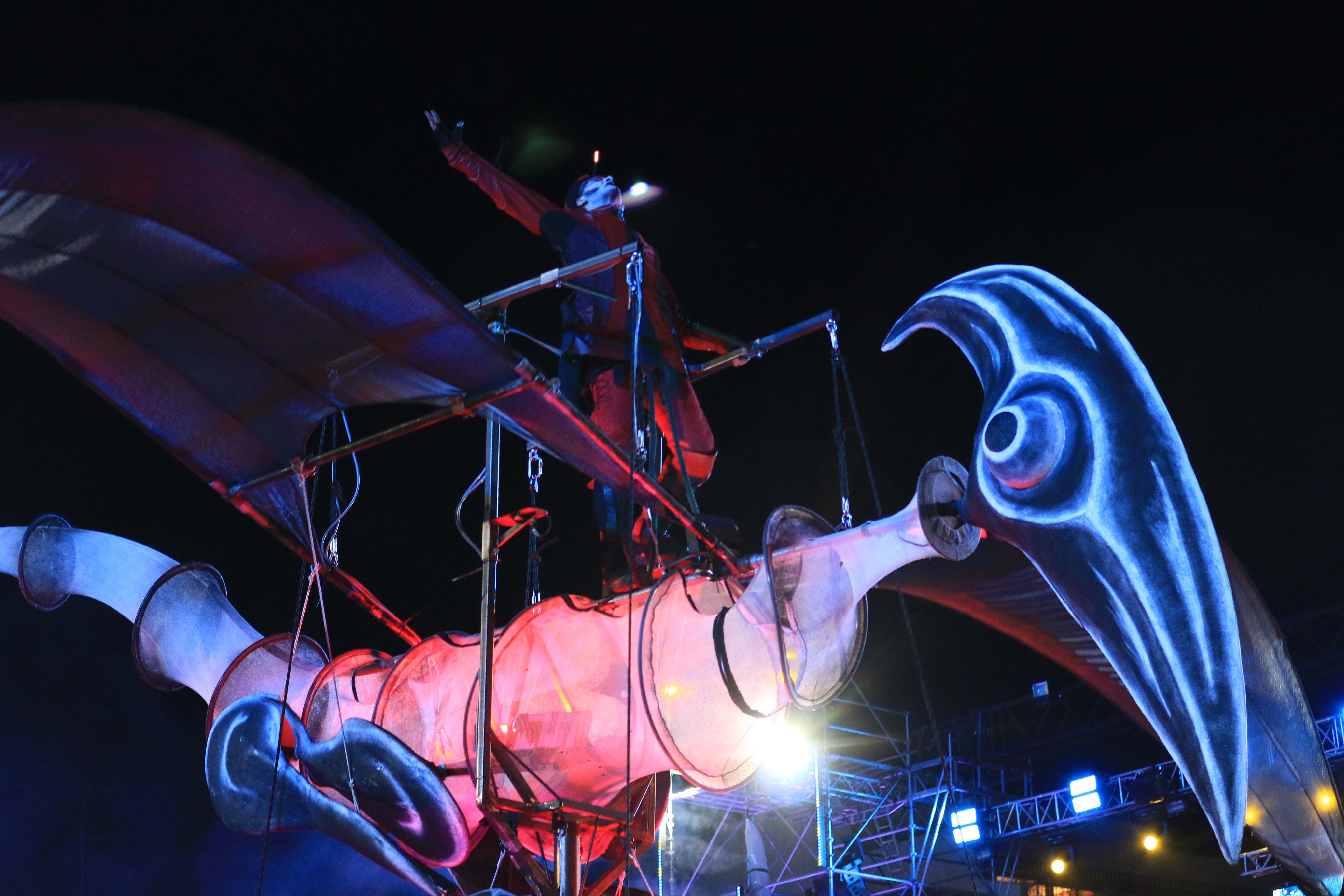 CORSO CARNAVALESQUE ILLUMINÉE - NICE