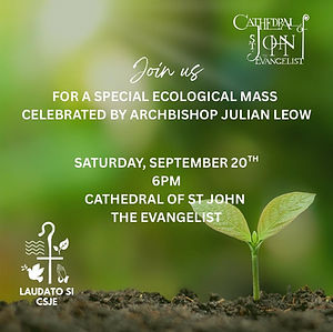 Banner_Laudato Si_20th Sept.jpeg
