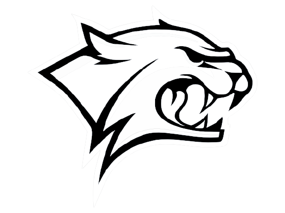 Wildcat Dumpster Rentals - Fort Worth Roll Offs dumpster rental