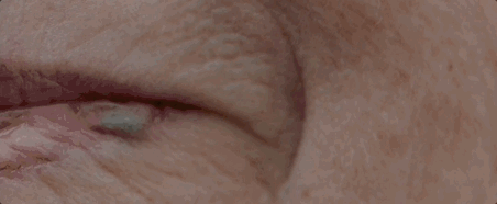 dove13.gif