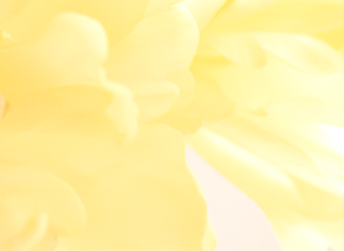 _MG_0919_edited_edited.png