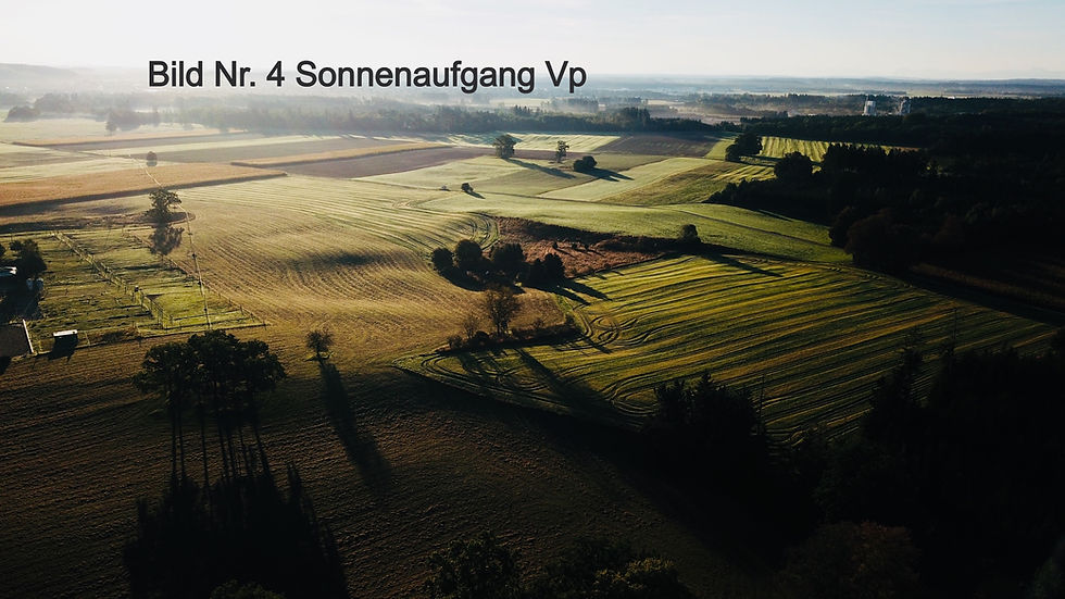Miniaturbild: Wildtierspende 75 € + Bild