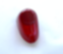 Rear Tail Light Lens - Bugeye