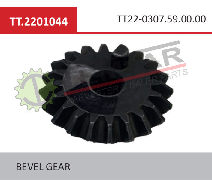 Bevel Gear