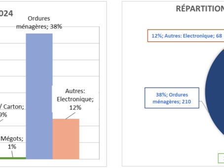 Bilan des nettoyages citoyens en 2024