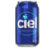 Agua mineral 235 ml