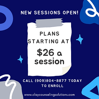 Copy of Therapy - Scheduled on Canva.png