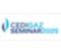 Cedigaz Seminar 2025